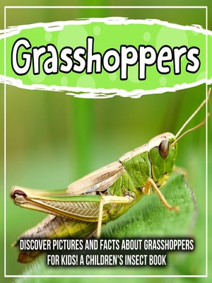cover image of Grasshoppers